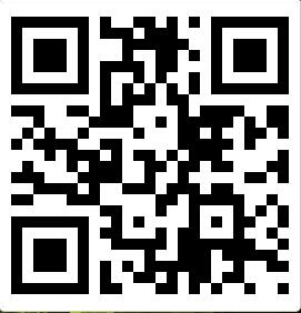 the qr code