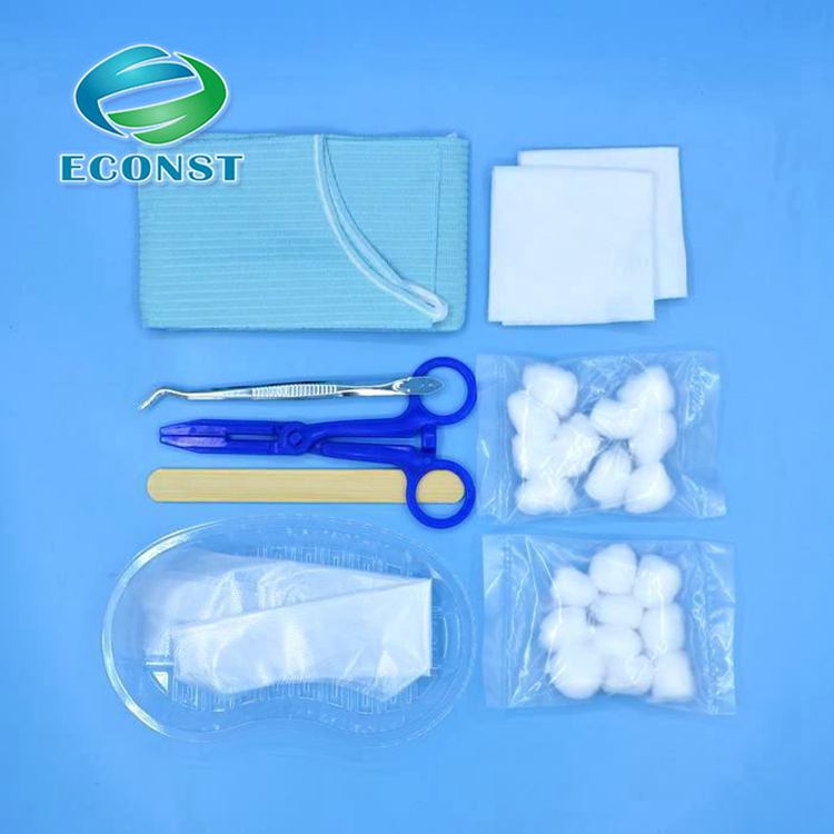 Disposable dental instrument oral care kit